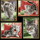 Художественный набор для творчества «Котенок. Velvet Paws» Schipper (9340554)